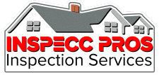 INSPECC Pros Logo 300 x 143 pxPNG e1650144652702