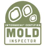 mold