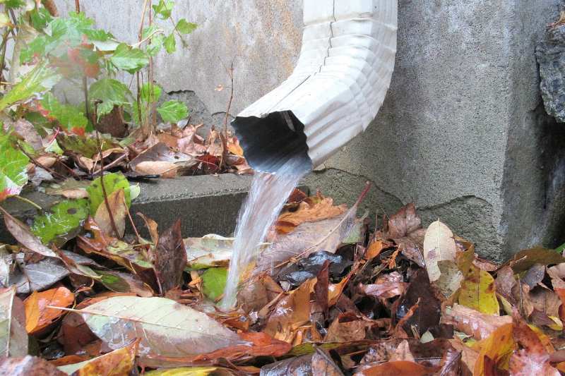 Read more about the article Understanding Downspouts and Their Importance